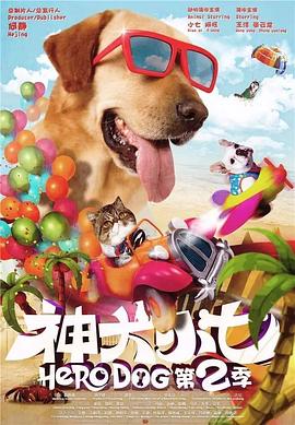 神犬小七第二季图片 神犬小七第二季图片