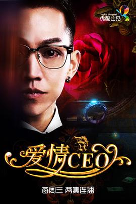 爱情CEO图片 爱情CEO图片
