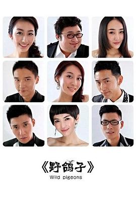 野鸽子图片 野鸽子图片
