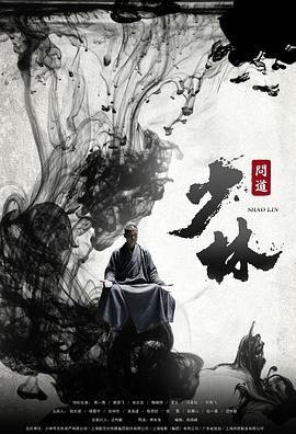 少林问道图片