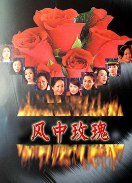 风中玫瑰图片 风中玫瑰图片