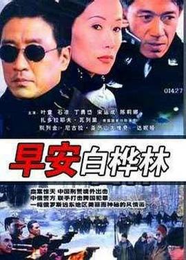 早安白桦林图片 早安白桦林图片