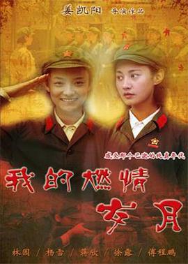 我的燃情岁月图片