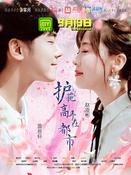 护花高手在都市图片 护花高手在都市图片