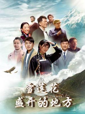 雪莲花盛开的地方图片 雪莲花盛开的地方图片