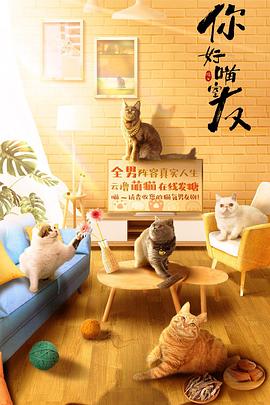 你好喵室友图片