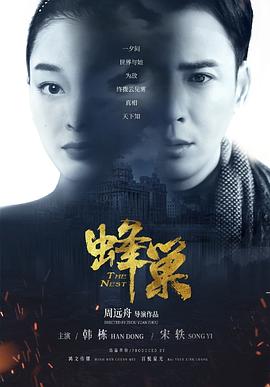 蜂巢图片 蜂巢图片