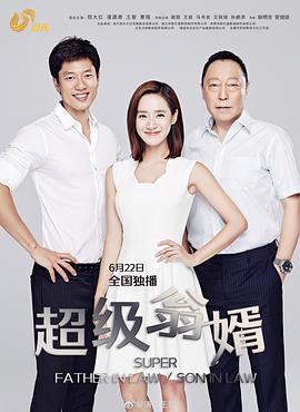 超级翁婿图片