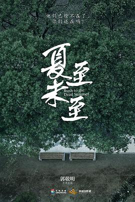 夏至未至图片