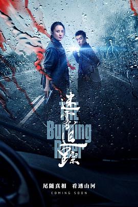 迷雾追踪图片 迷雾追踪图片