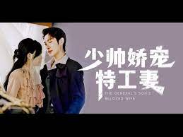 少帅娇宠特工妻图片 少帅娇宠特工妻图片