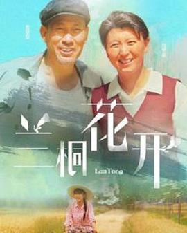 兰桐花开图片 兰桐花开图片