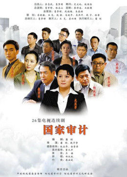 国家审计图片 国家审计图片