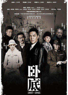 卧底[DVD版]图片