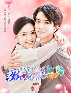 Boss爱上鸟图片 Boss爱上鸟图片