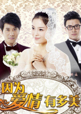 因为爱情有多美[DVD版]图片