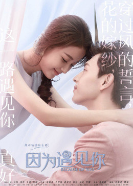 因为遇见你[DVD版]图片