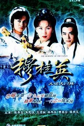 穆桂英之大破天门阵图片