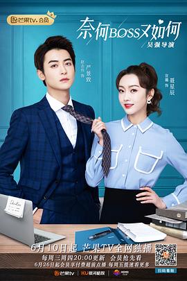 奈何BOSS又如何图片