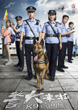 警犬来啦图片 警犬来啦图片
