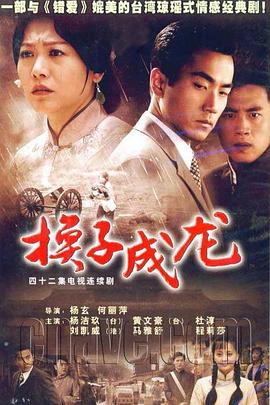 换子成龙图片