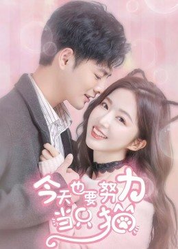 今天也要努力当只猫图片 今天也要努力当只猫图片