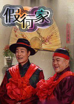 假行家图片