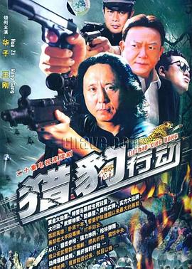 金海岸图片