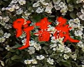 野蔷薇图片 野蔷薇图片