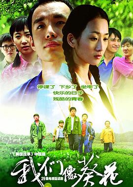 我们像葵花图片 我们像葵花图片