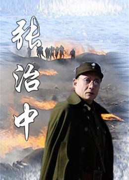 张治中图片 张治中图片
