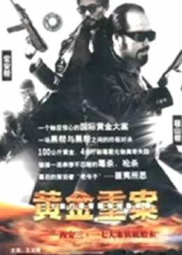 黄金重案图片