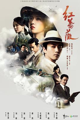 红蔷薇图片 红蔷薇图片