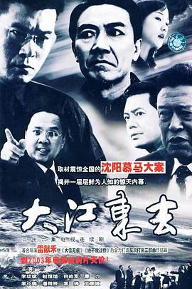 大江东去2003图片