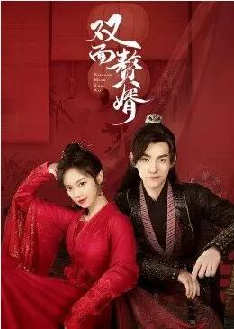 双面赘婿图片 双面赘婿图片