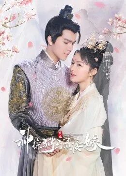 神探驸马请接嫁图片 神探驸马请接嫁图片