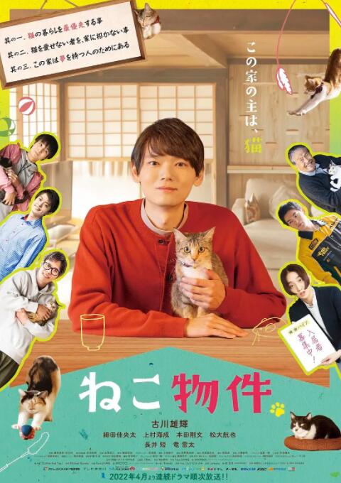 猫物件图片 猫物件图片