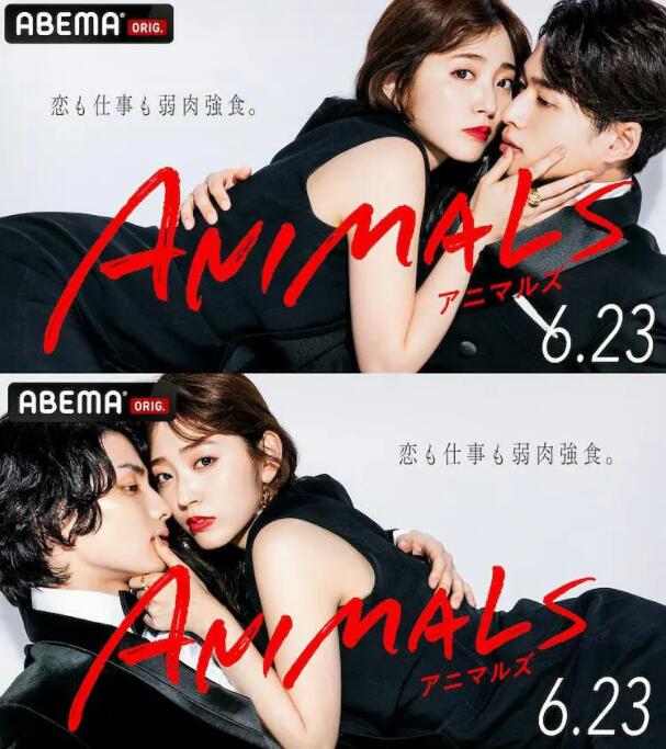 ANIMALS图片 ANIMALS图片