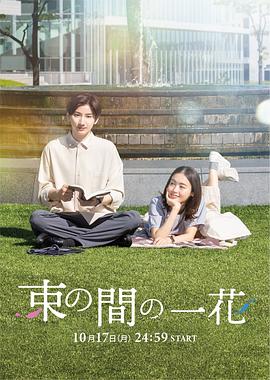 一霎一花图片 一霎一花图片