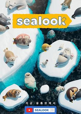 海豹看看图片 海豹看看图片