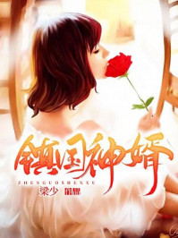 镇国神婿图片