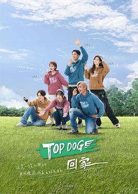 TOPDOG图片 TOPDOG图片