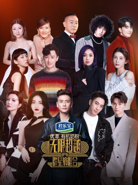 无限超越群星演唱会图片
