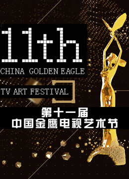 第十一届中国金鹰电视艺术节颁奖晚会图片