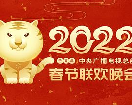 2022年中央广播电视总台春节联欢晚会图片