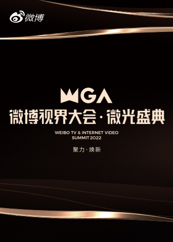 微博视界大会·微光盛典图片 微博视界大会·微光盛典图片