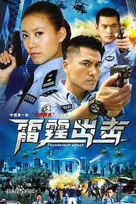 要案组雷霆出击图片 要案组雷霆出击图片
