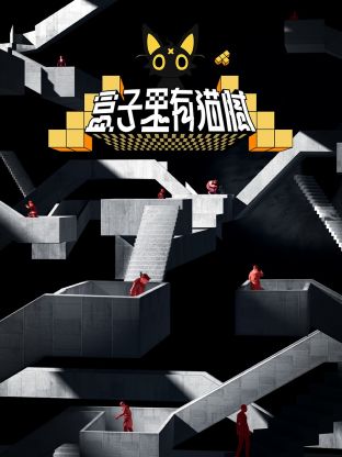 盒子里有猫腻图片