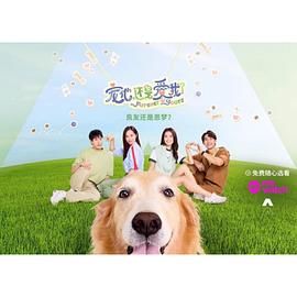 宠他,还是爱我？图片