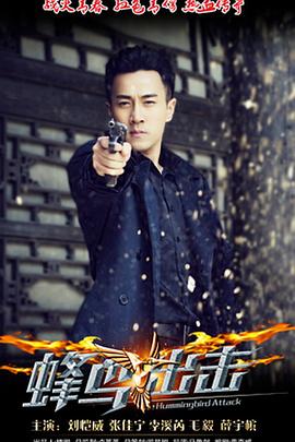 蜂鸟2015图片 蜂鸟2015图片